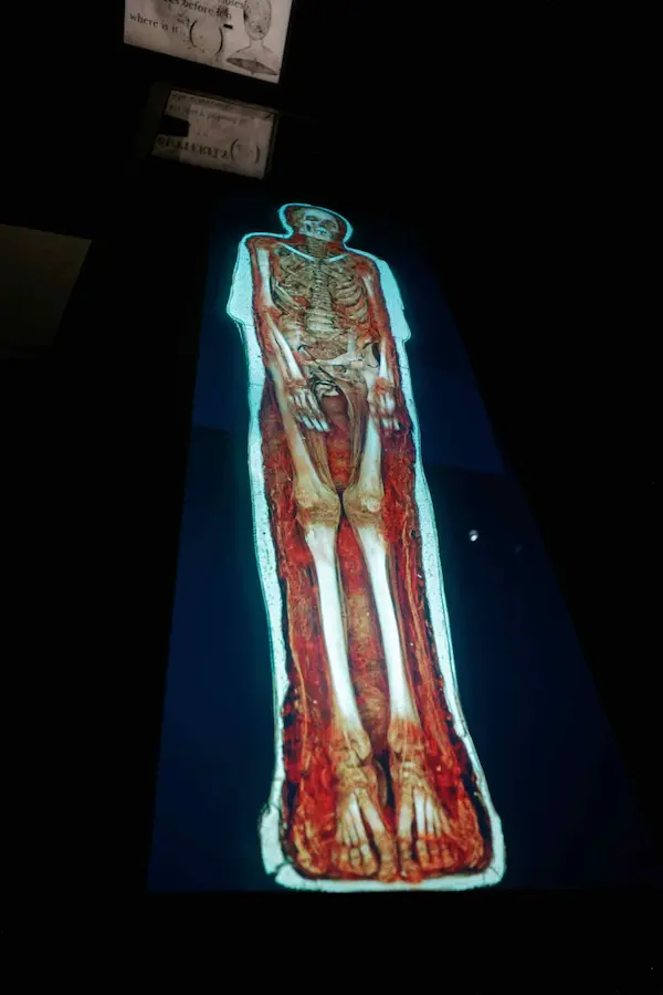 Mummy and Coffin of Pausiris, 100BCE–100CE (3)